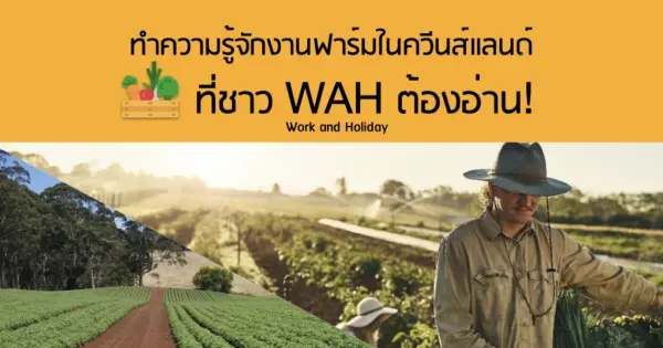 ทำความรู้จักงานฟาร์มในควีนส์แลนด์​ ที่ชาว WAH ต้องอ่าน!