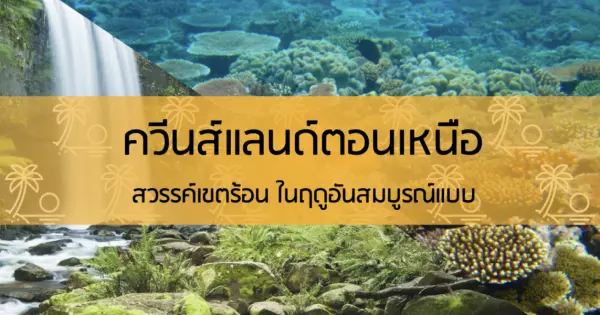 ควีนส์แลนด์ตอนเหนือ สวรรค์เขตร้อนในฤดูอันสมบูรณ์แบบ