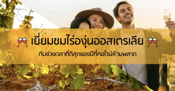 เยี่ยมชมไร่องุ่นออสเตรเลีย กับช่วงเวลาที่ดีสุดของปีที่คอไวน์ห้ามพลาด