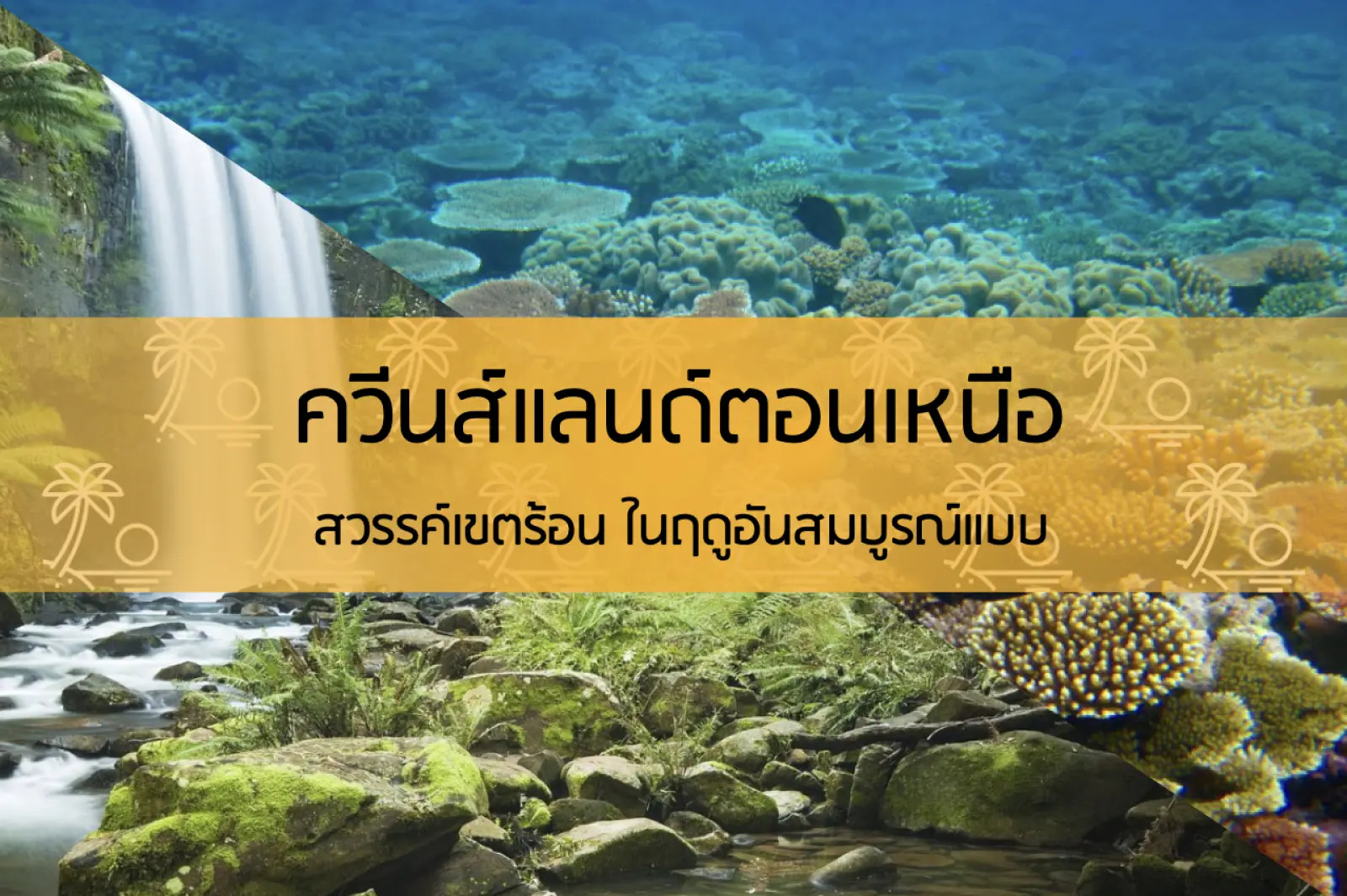 ควีนส์แลนด์ตอนเหนือ สวรรค์เขตร้อนในฤดูอันสมบูรณ์แบบ