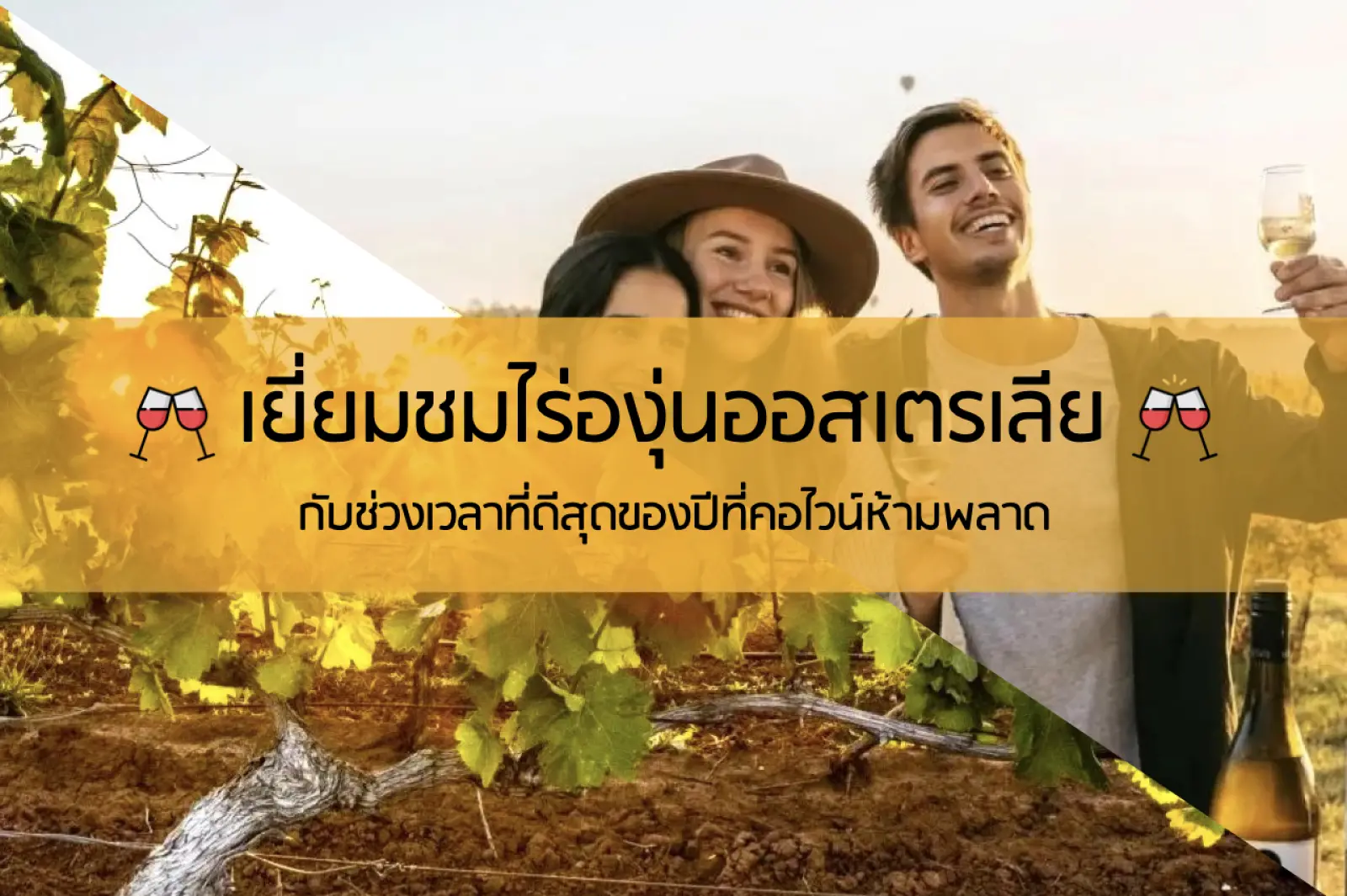 เยี่ยมชมไร่องุ่นออสเตรเลีย กับช่วงเวลาที่ดีสุดของปีที่คอไวน์ห้ามพลาด